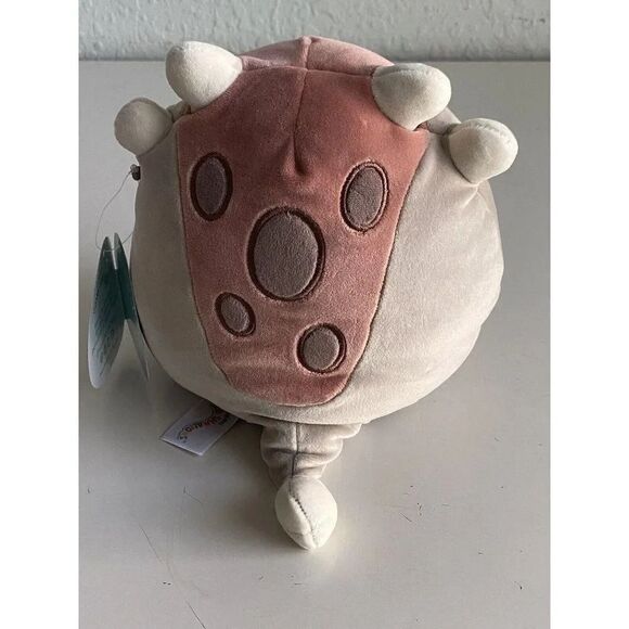 Squishmallows 8” AINHOCA Ankylosaurus Gray Taupe Brown Armored Dinosaur Soft NEW - Picture 6 of 9